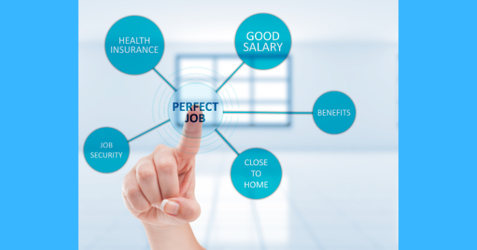 Finding the Perfect Job!