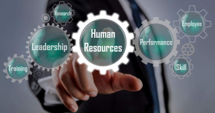 When Should a Business Implement a HR Team?